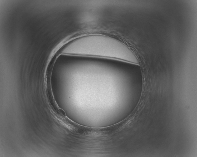 X0000081390246200701111214