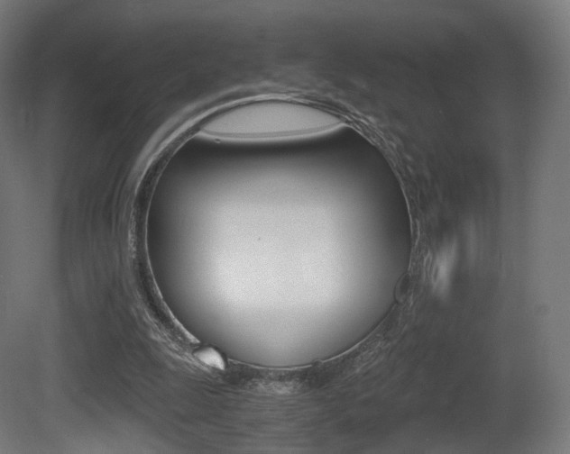 X0000081390247200701111214