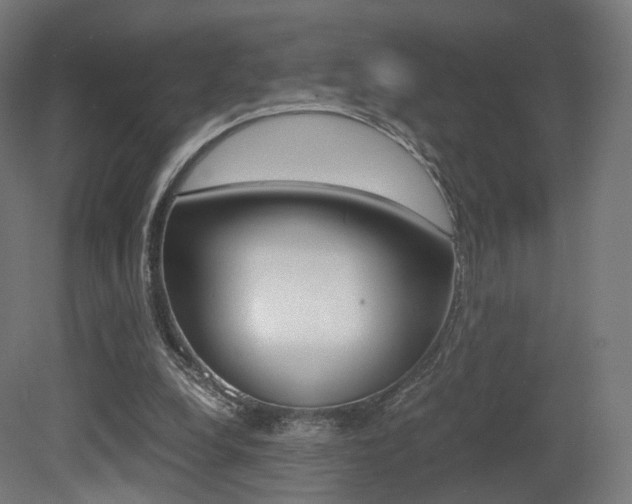 X0000081390248200701111214