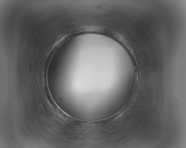 X0000081390249200701111214