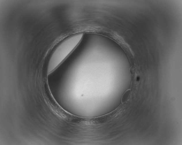 X0000081390250200701111214