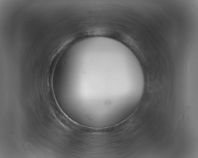X0000081390251200701111214