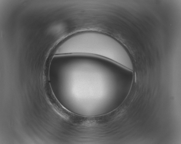 X0000081390252200701111214