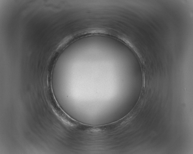 X0000081390253200701111214