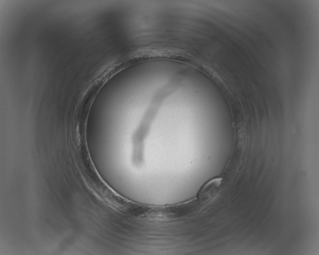 X0000081390254200701111214
