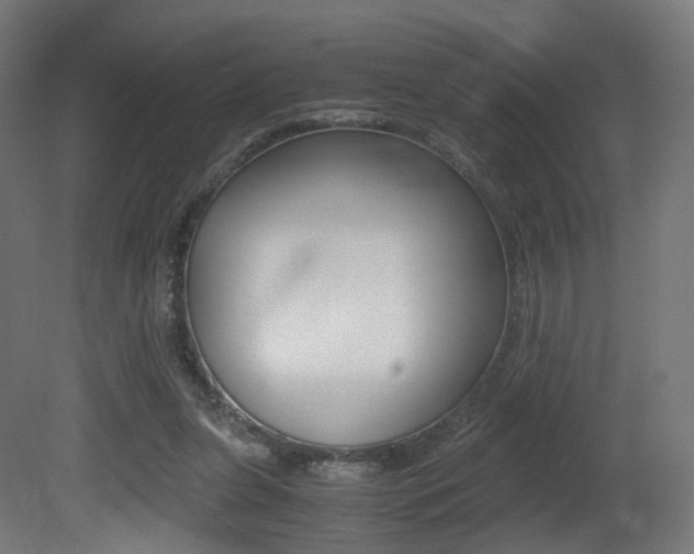 X0000081390255200701111214