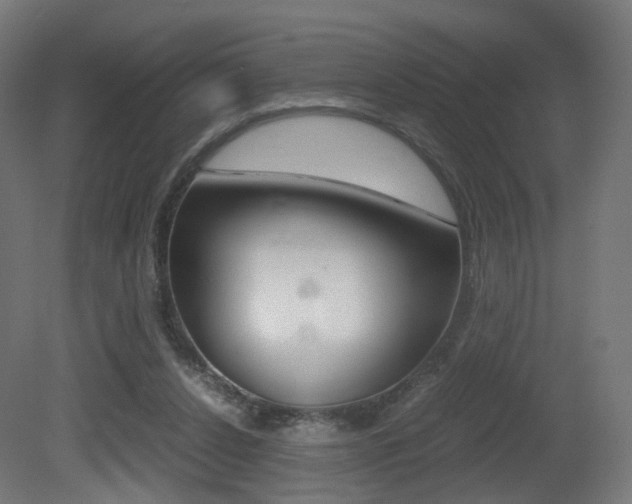 X0000081390256200701111214