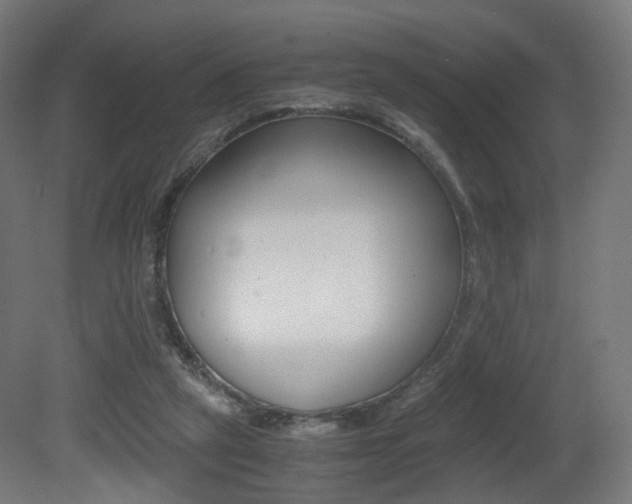 X0000081390257200701111214