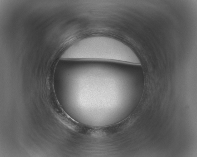X0000081390258200701111214