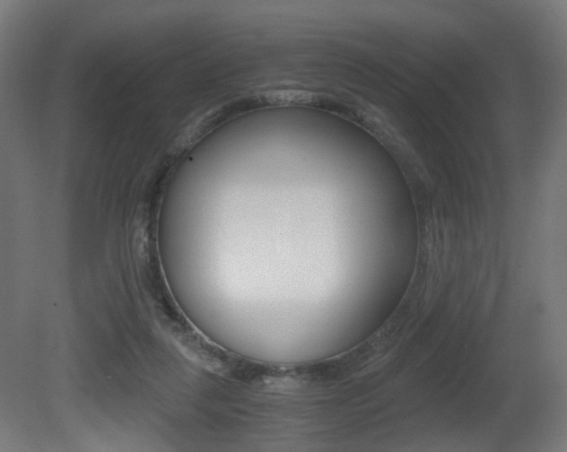 X0000081390259200701111214