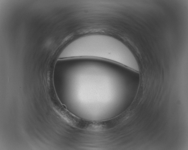 X0000081390260200701111214