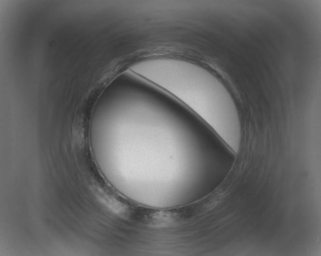 X0000081390261200701111214