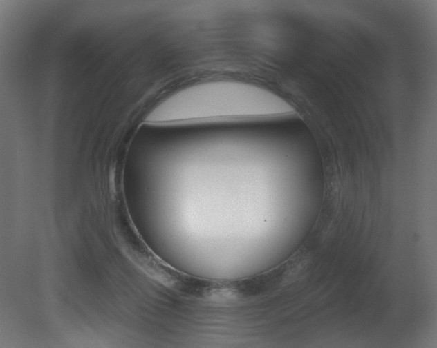 X0000081390262200701111214
