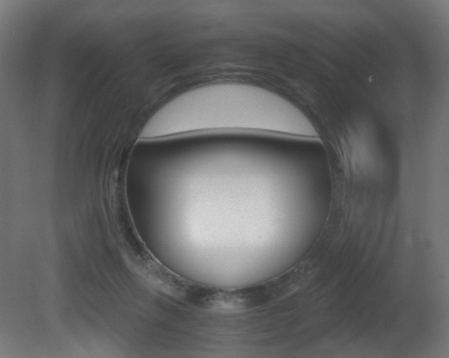X0000081390263200701111214