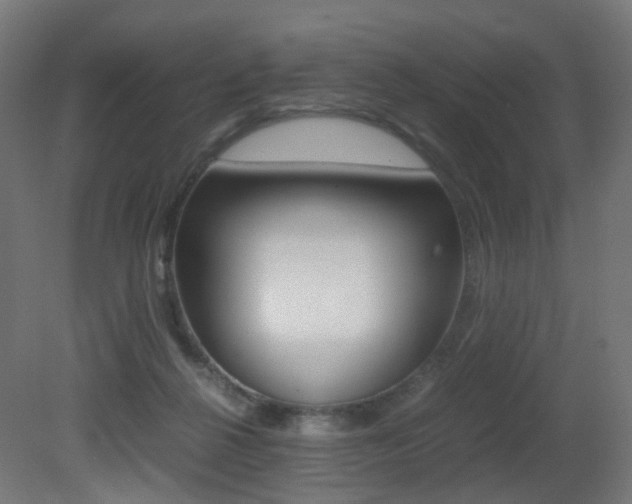 X0000081390264200701111214