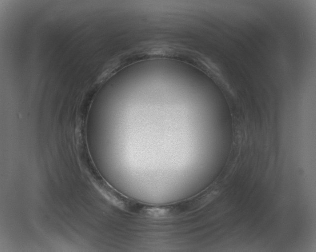 X0000081390265200701111214