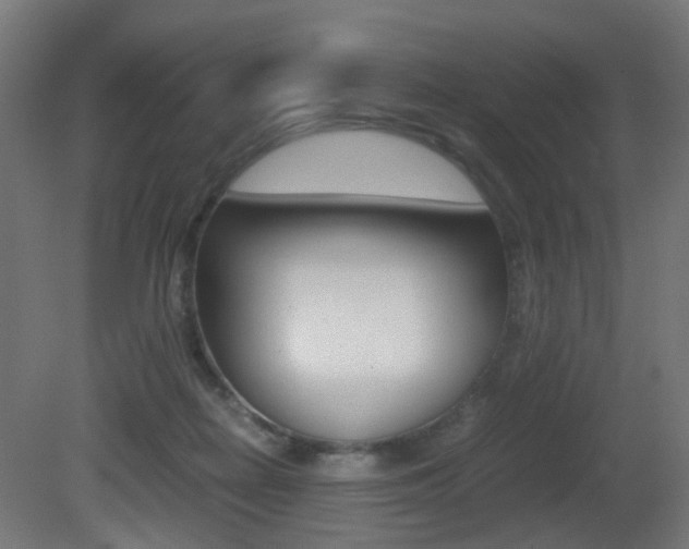 X0000081390266200701111214