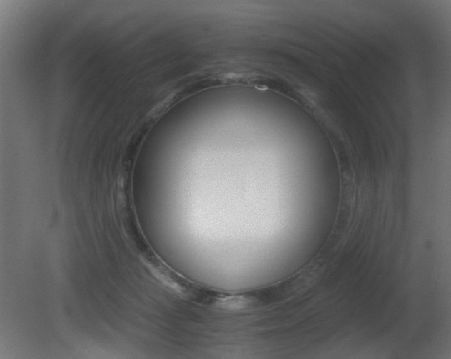 X0000081390269200701111214