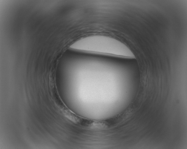 X0000081390270200701111214