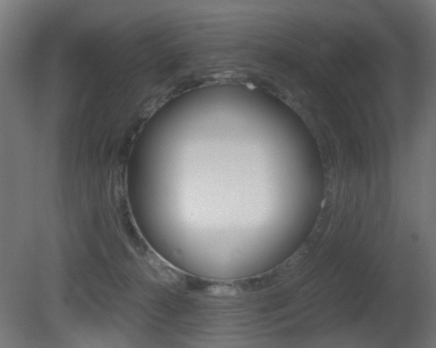 X0000081390272200701111214