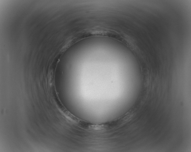 X0000081390273200701111214