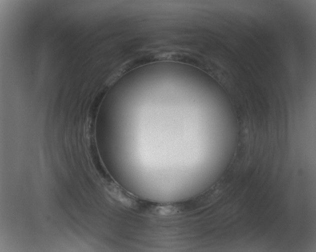 X0000081390275200701111215