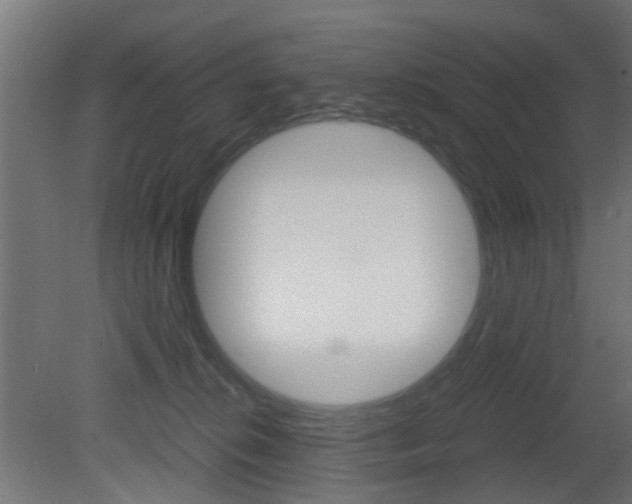 X0000081390276200701111215
