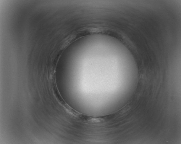 X0000081390277200701111215