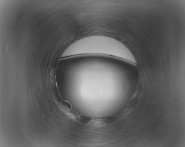 X0000081390280200701111215