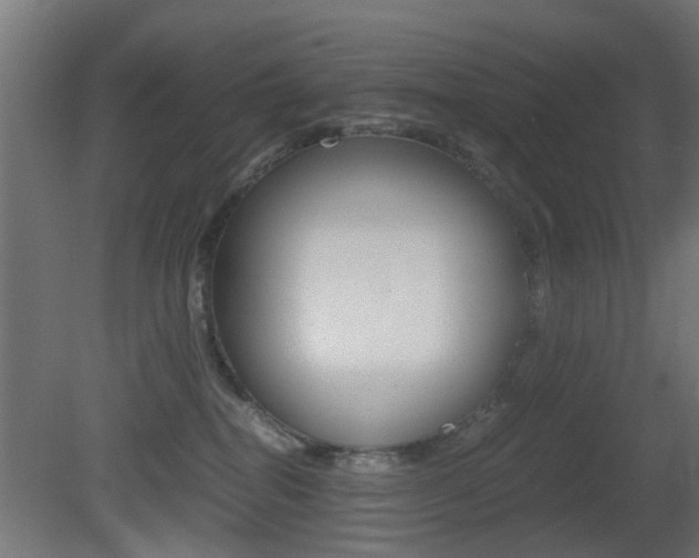 X0000081390282200701111215