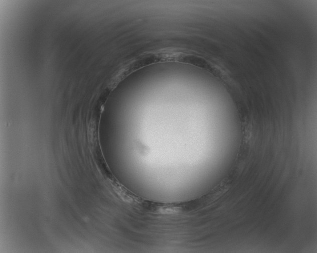 X0000081390283200701111215