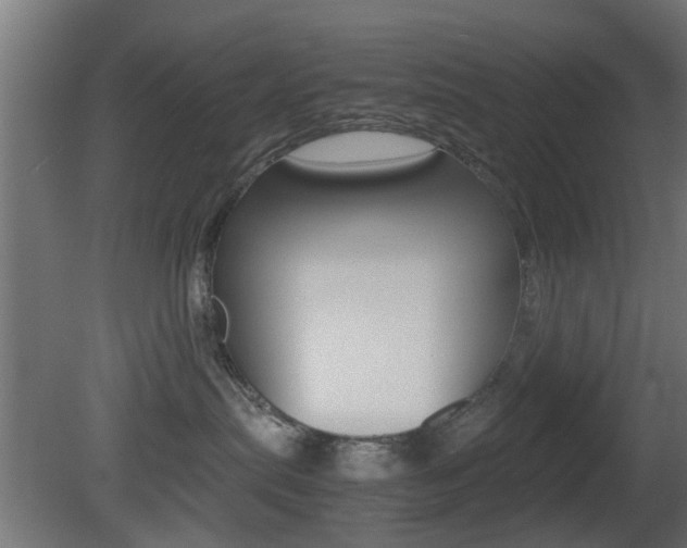 X0000081390287200701111215