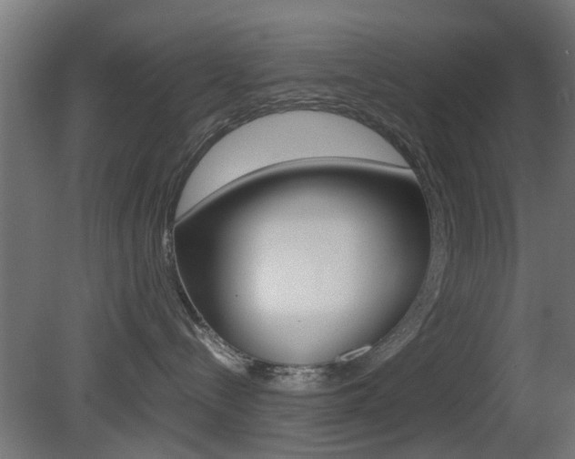 X0000081390288200701111215