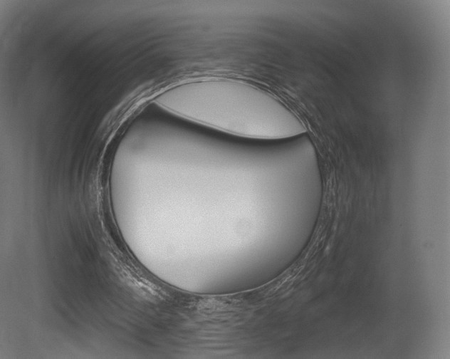 X0000081390290200701111214