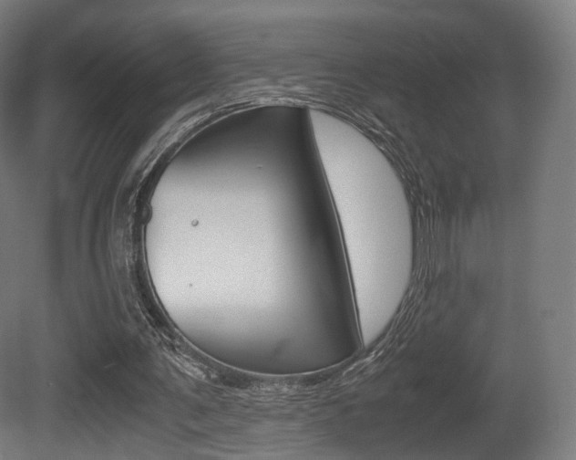 X0000081390291200701111214