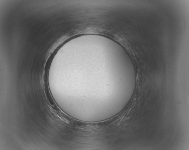 X0000081390292200701111214
