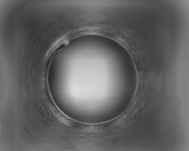 X0000081390293200701111214