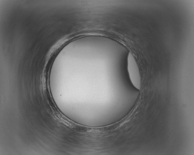 X0000081390294200701111214
