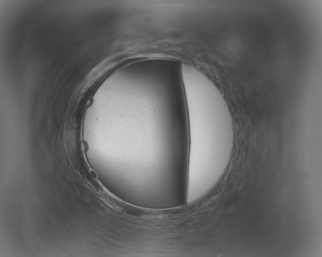 X0000081390295200701111214