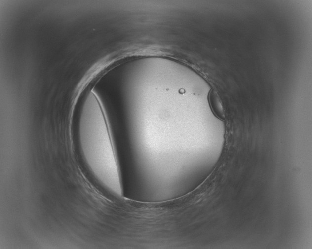 X0000081390296200701111214