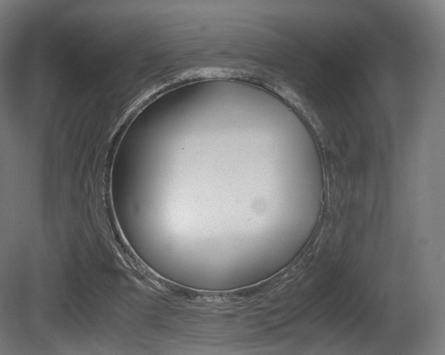 X0000081390297200701111214