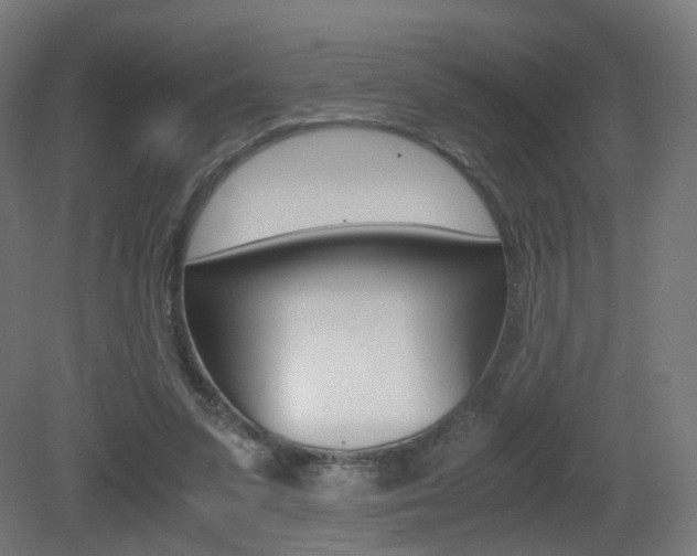 X0000081390303200701111214