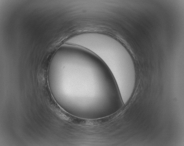 X0000081390305200701111214