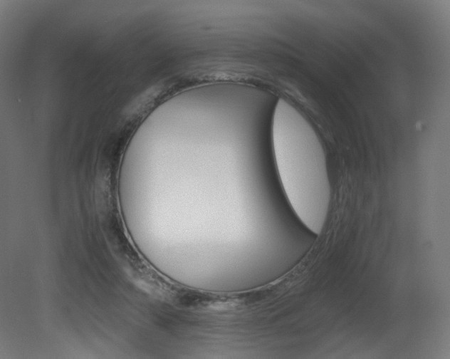 X0000081390306200701111214