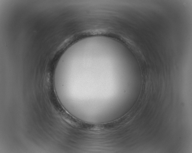 X0000081390308200701111214