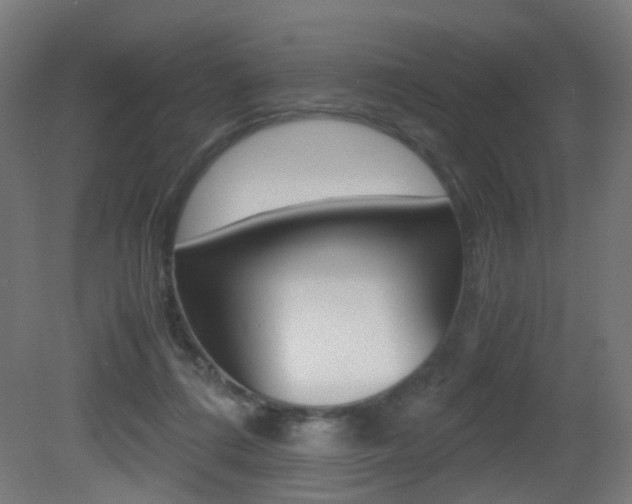 X0000081390312200701111214