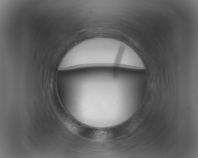 X0000081390315200701111213
