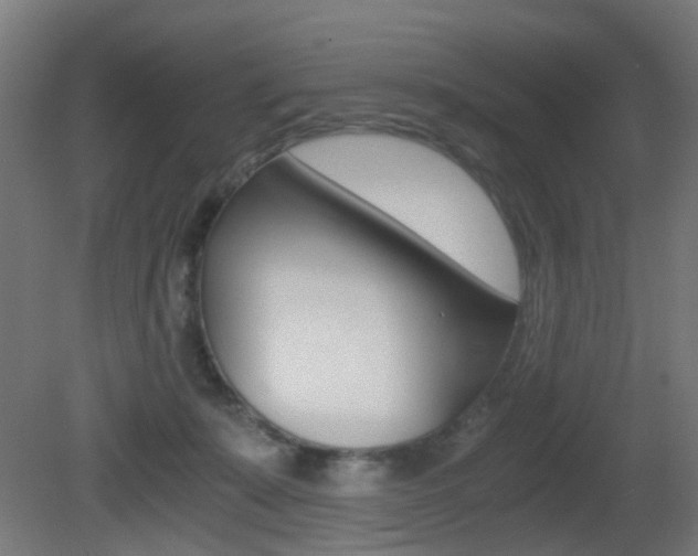 X0000081390319200701111213