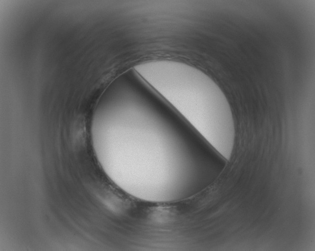 X0000081390320200701111213