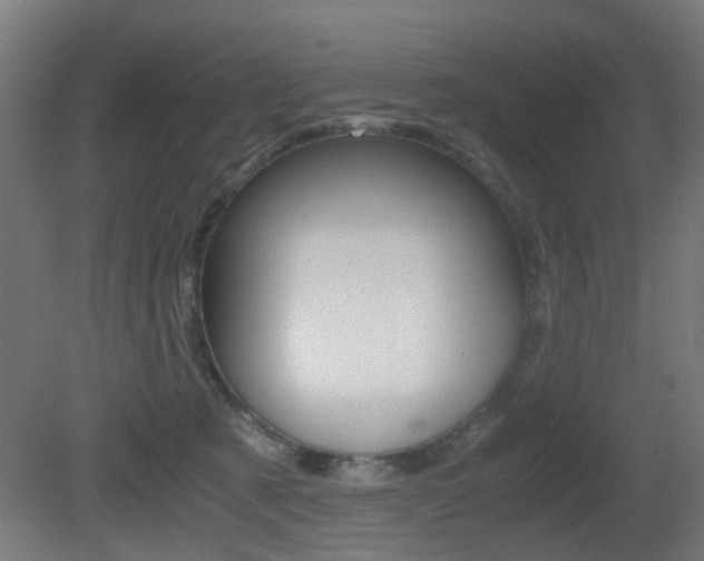 X0000081390321200701111213